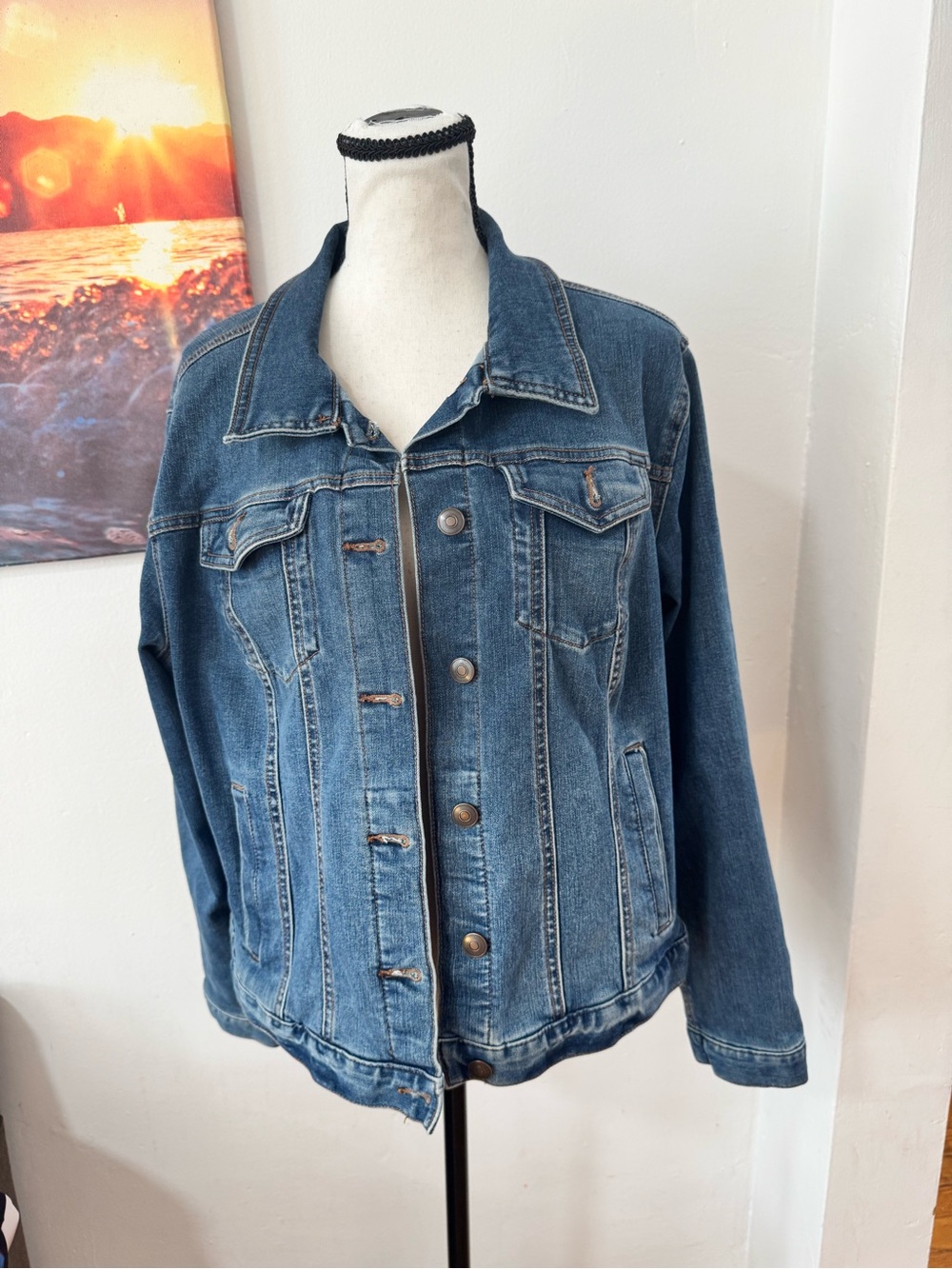 Time and Tru Blue Denim Jacket Button-Down Classic Jean Jacket Size XL (16-18)